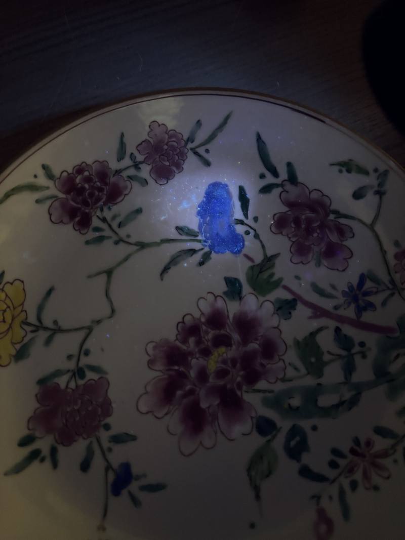    清雍正 粉彩花鸟纹盘 - 图9