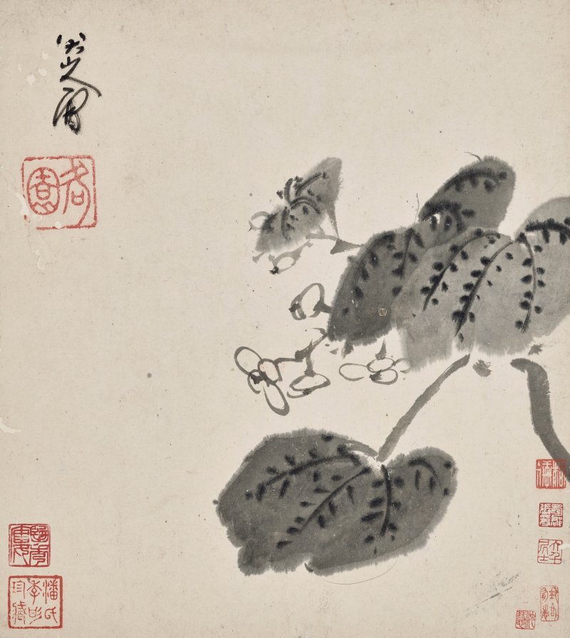 清 八大山人（1626-1705）  水墨花鳥冊 - 图4
