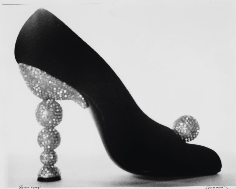 Paris Richard Avedon - 图1