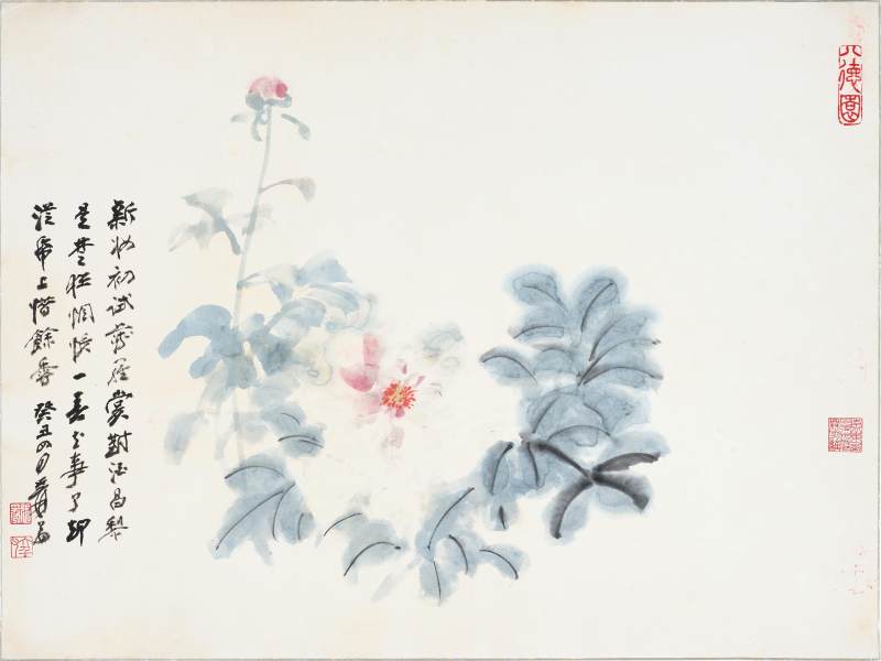 張大千　芍藥 | Chang Dai-chien (Zhang Daqian), Peony