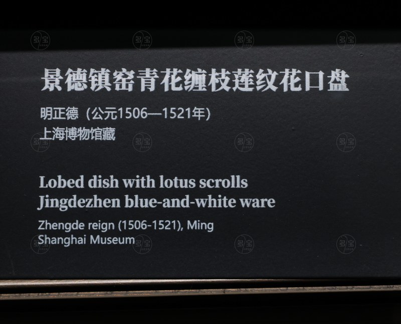 明正德 景德镇窑青花缠枝莲纹花口盘 - 图4