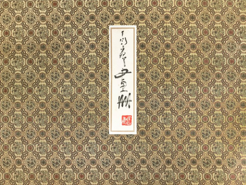 丁衍庸  雜錦冊 - 图10