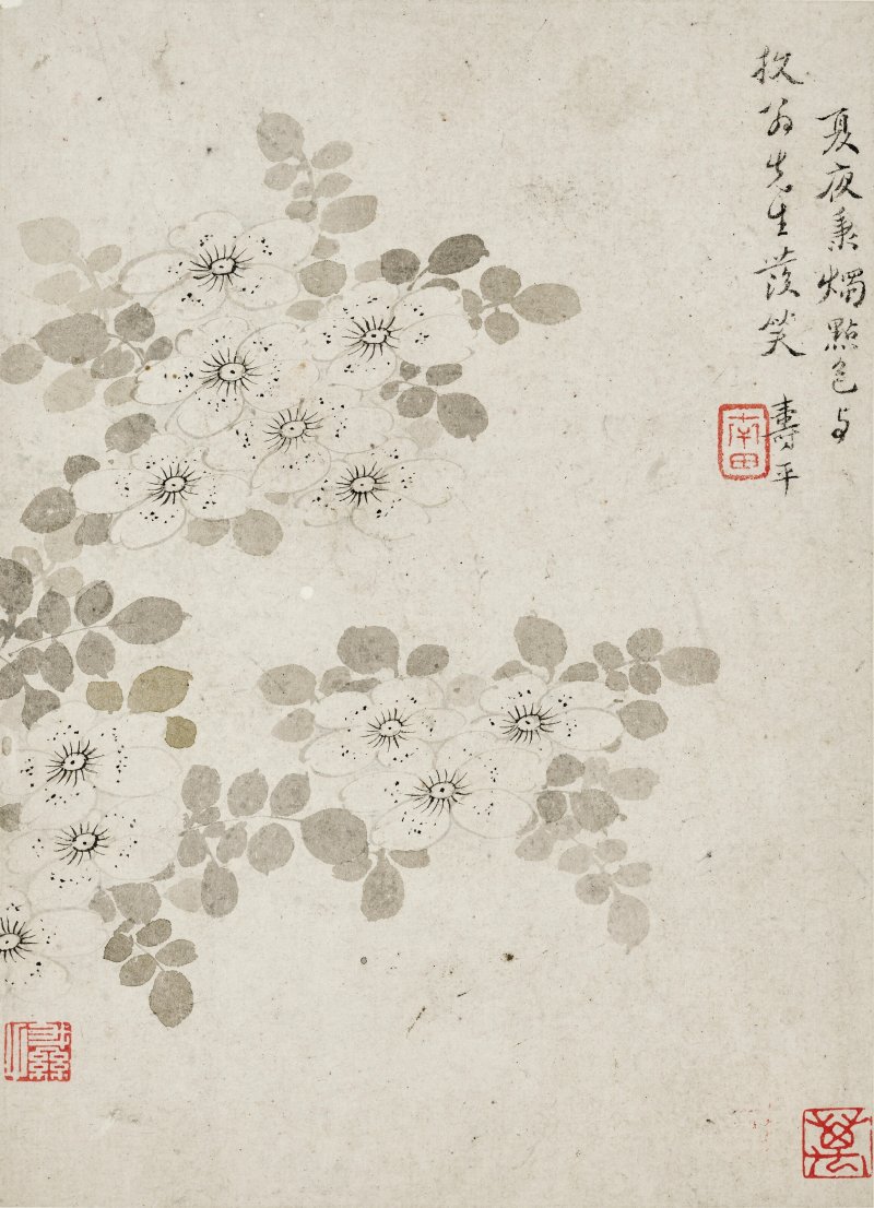 清 惲壽平（傳，1633-1690）  花開清幽 - 图1