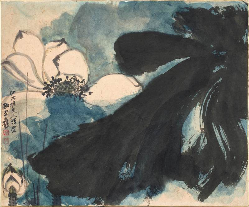 張大千 雨塘荷影 | Chang Dai-chien (Zhang Daqian), White Lotus after Rain