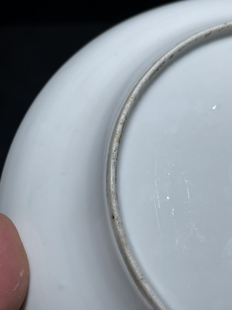 清光绪 浅绛彩金品卿花鸟纹盘 - 图8