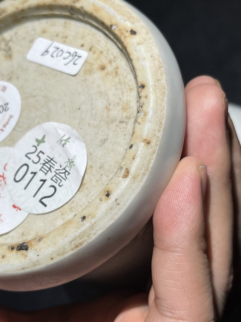 明晚期 白釉暗刻花卉梅瓶 - 图11