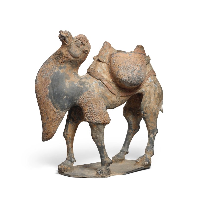 北魏 彩繪陶駱駝 | A LARGE PAINTED POTTERY MODEL OF A CAMEL