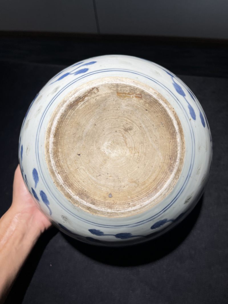 清中期 青花釉里红鱼藻纹卷缸 - 图9