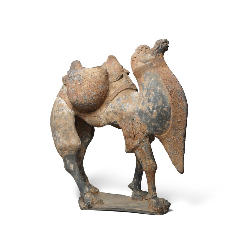北魏 彩繪陶駱駝 | A LARGE PAINTED POTTERY MODEL OF A CAMEL - 图4