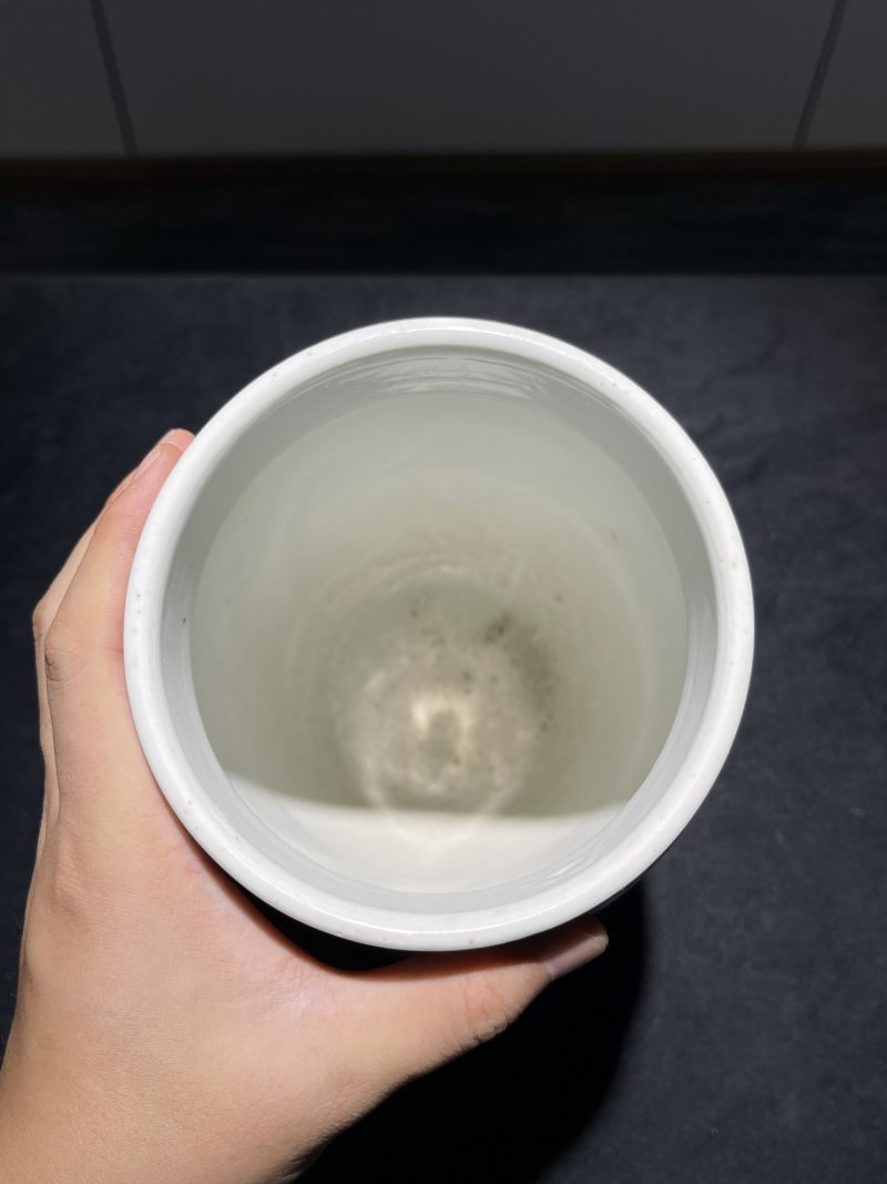 清同治 矾红花卉壮罐一对 - 图13