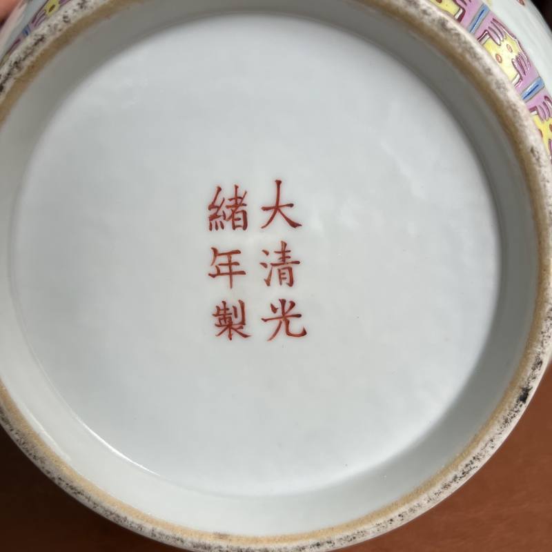 清光绪 粉彩百蝶纹玉堂春瓶一对 - 图48