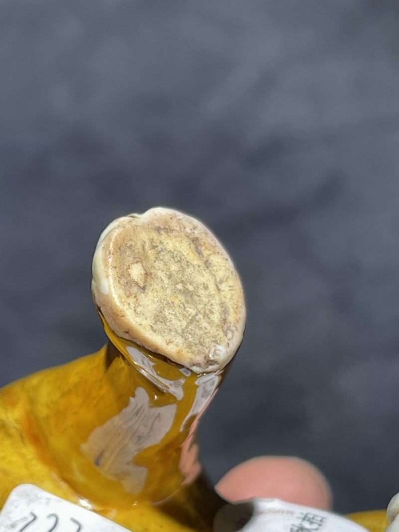 清早期 素三彩狮子瓷塑一对 - 图16