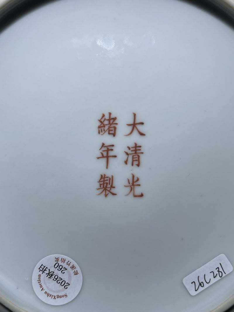 清光绪 粉彩百蝶龙纹盘 - 图8
