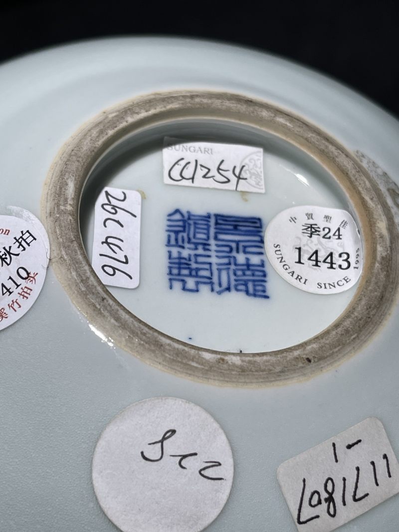50年代 青花釉里红梅花孔雀图玉壶春瓶 - 图12