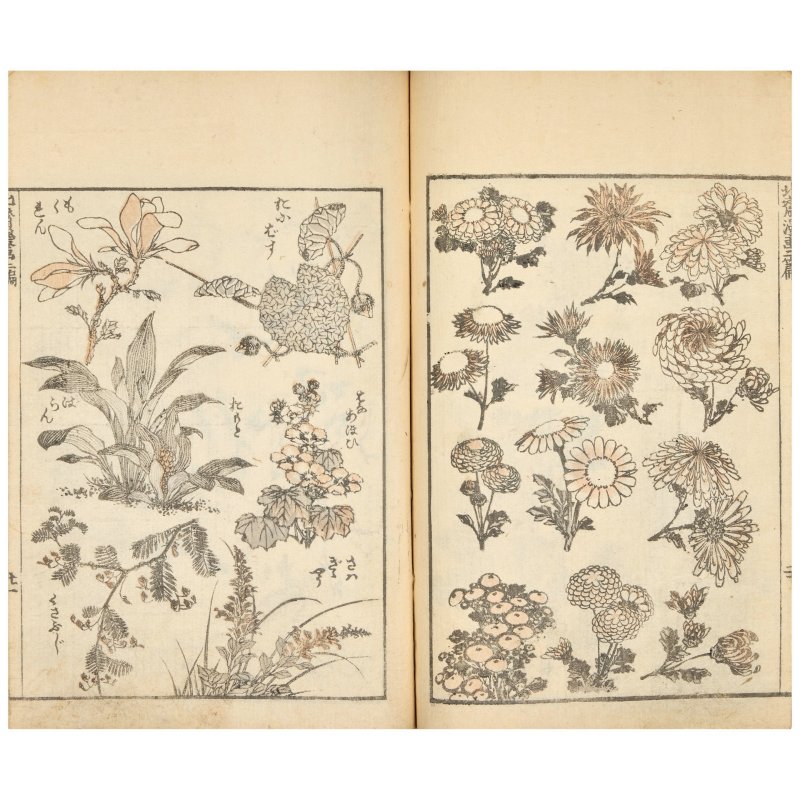 KATSUSHIKA HOKUSAI (1760-1849) - 图6