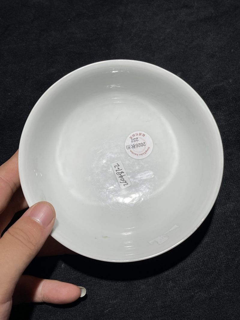 清雍正 粉彩没骨花卉纹碗一对 - 图19