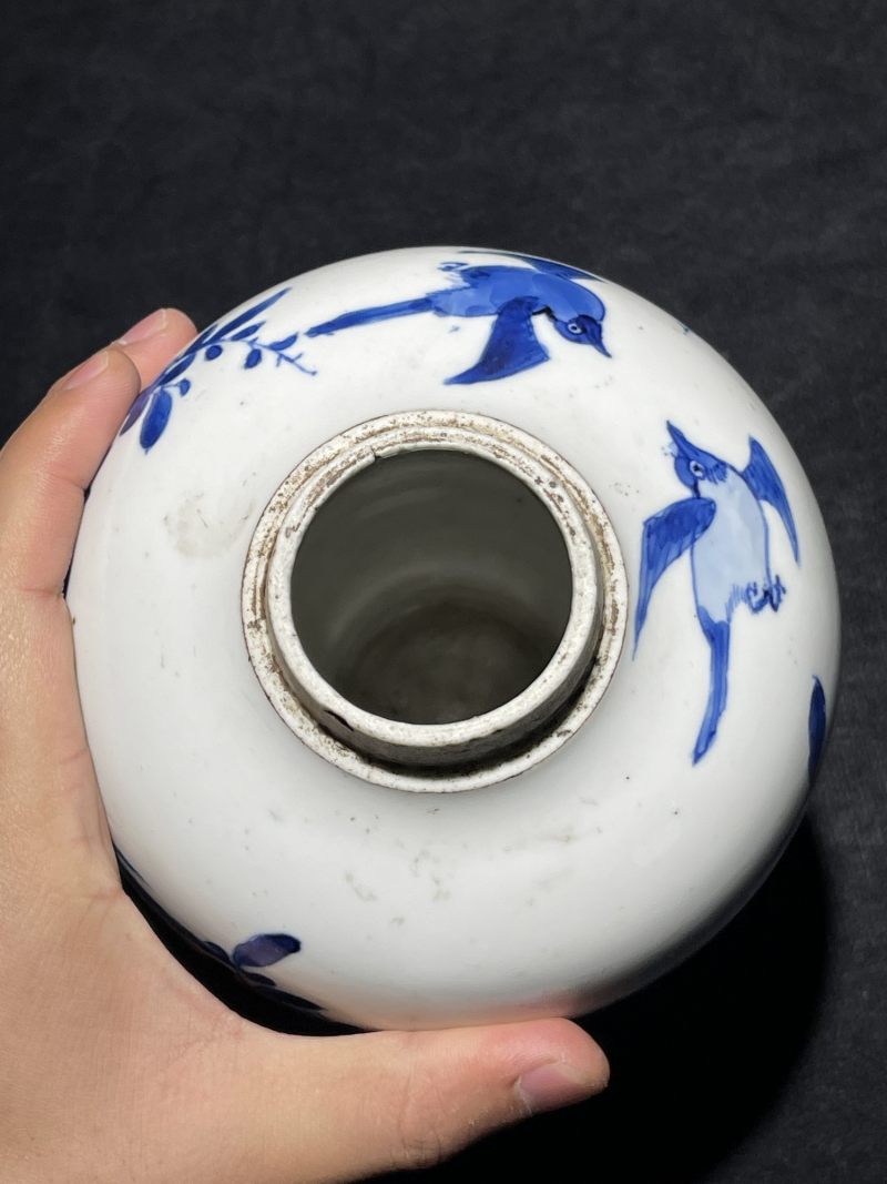 清康熙 青花花鸟纹梅瓶 - 图12