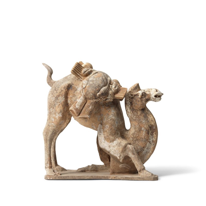 北魏 灰陶加彩駱駝 | A PAINTED POTTERY FIGURE OF A KNEELING CAMEL