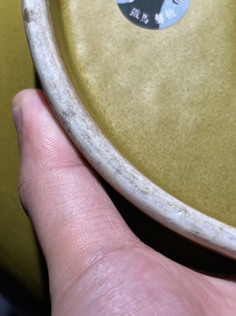 清光绪 茶叶末釉荸荠瓶 - 图8