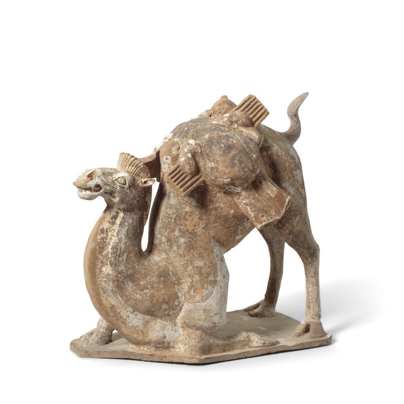北魏 灰陶加彩駱駝 | A PAINTED POTTERY FIGURE OF A KNEELING CAMEL - 图2