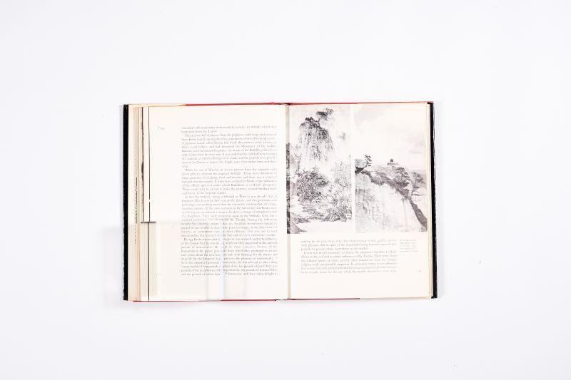《中国的珍宝与王朝》 - 图8