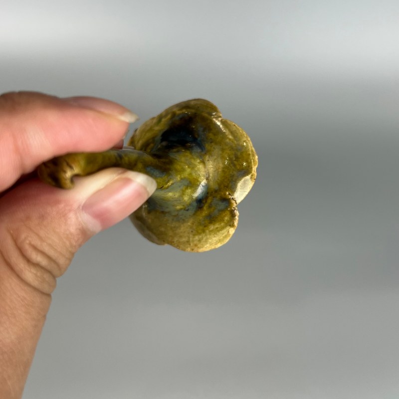 明代 绿釉茄子形香罐 - 图18