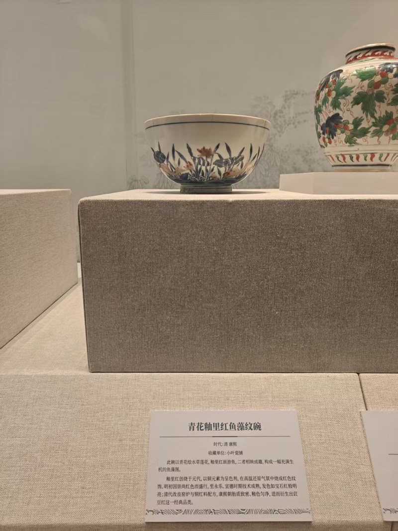 明末清初 青花釉里红鱼藻纹大碗 - 图4