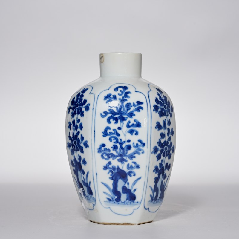 清康熙 青花花卉纹瓶 - 图3