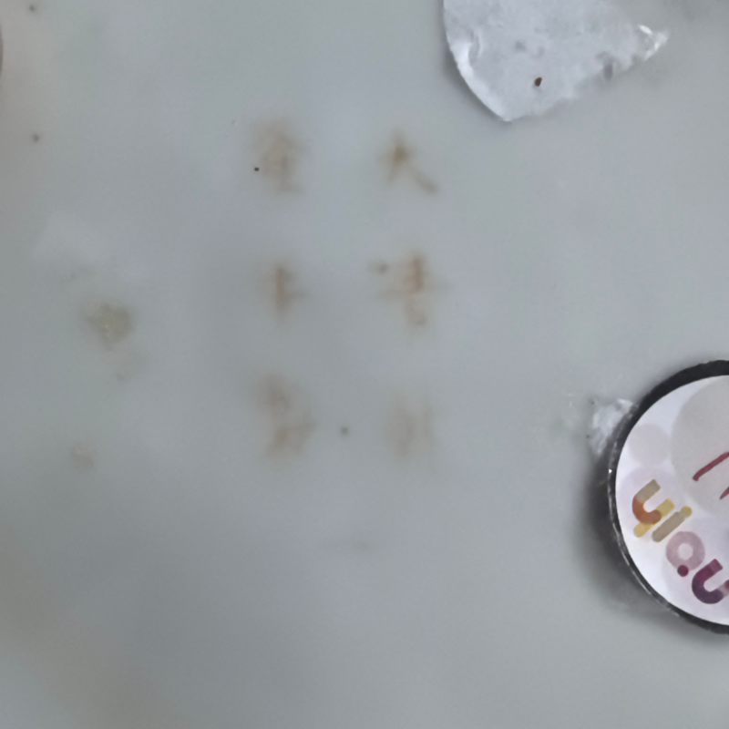 清晚期 胭脂红地粉彩福禄万代开窗人物故事图壶 - 图12