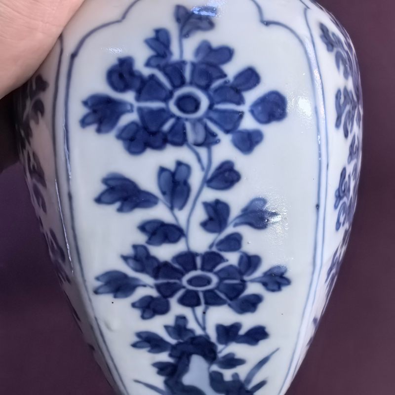 清康熙 青花花卉纹瓶 - 图9