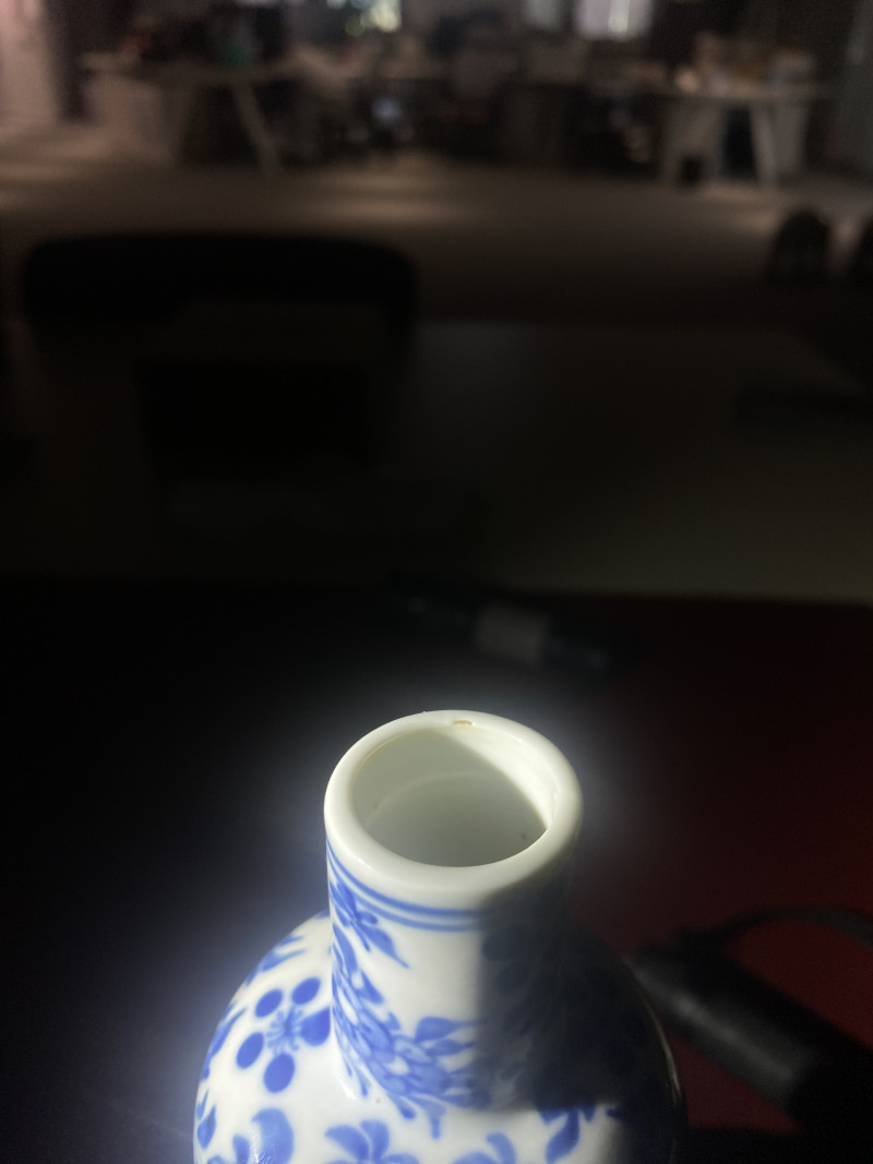 清晚期 青花花鸟纹福禄千秋瓶 - 图9