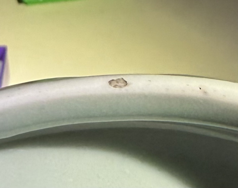 清中期 青釉瓜棱出筋蒜头 - 图12