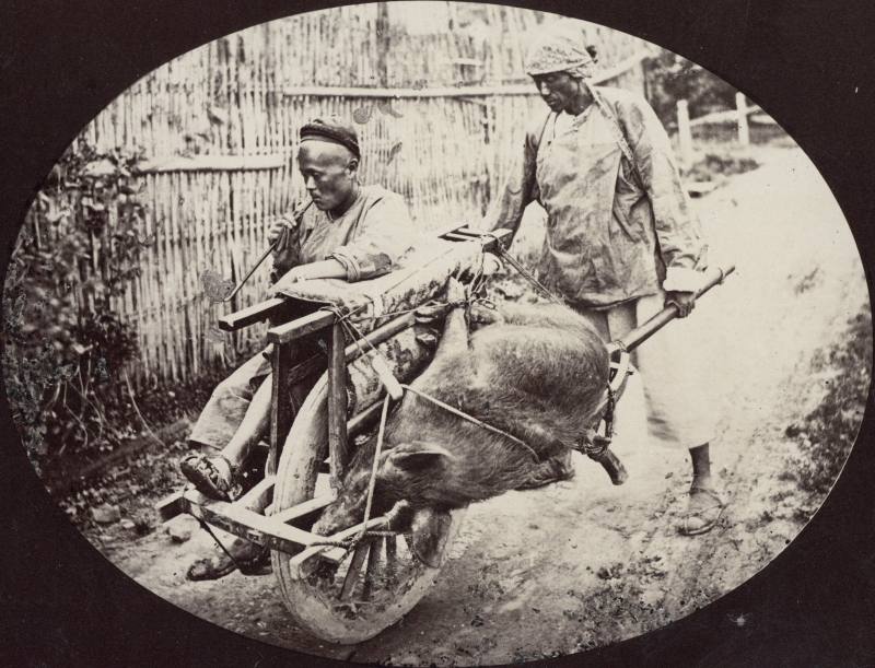 1890年代 威廉·桑德斯 手推车与乘客 - 图1
