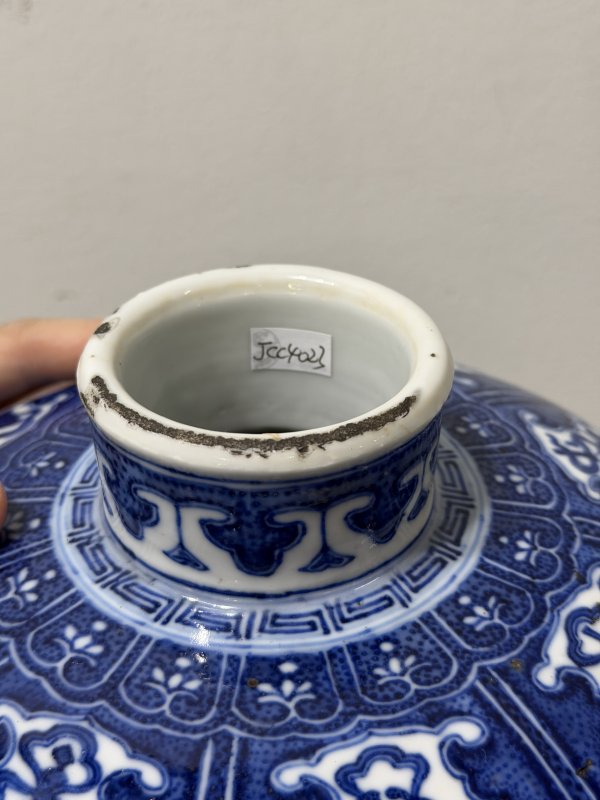 清光绪 青花缠枝花卉八吉祥纹梅瓶 - 图8