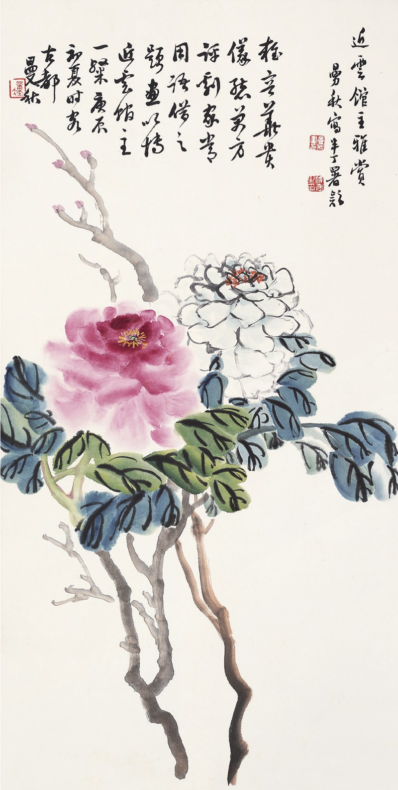 曼秋 花卉