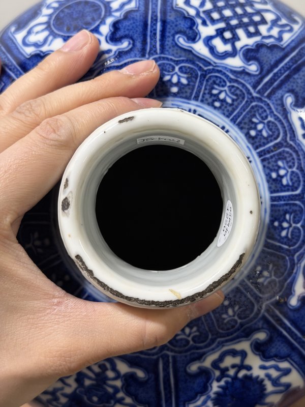 清光绪 青花缠枝花卉八吉祥纹梅瓶 - 图9