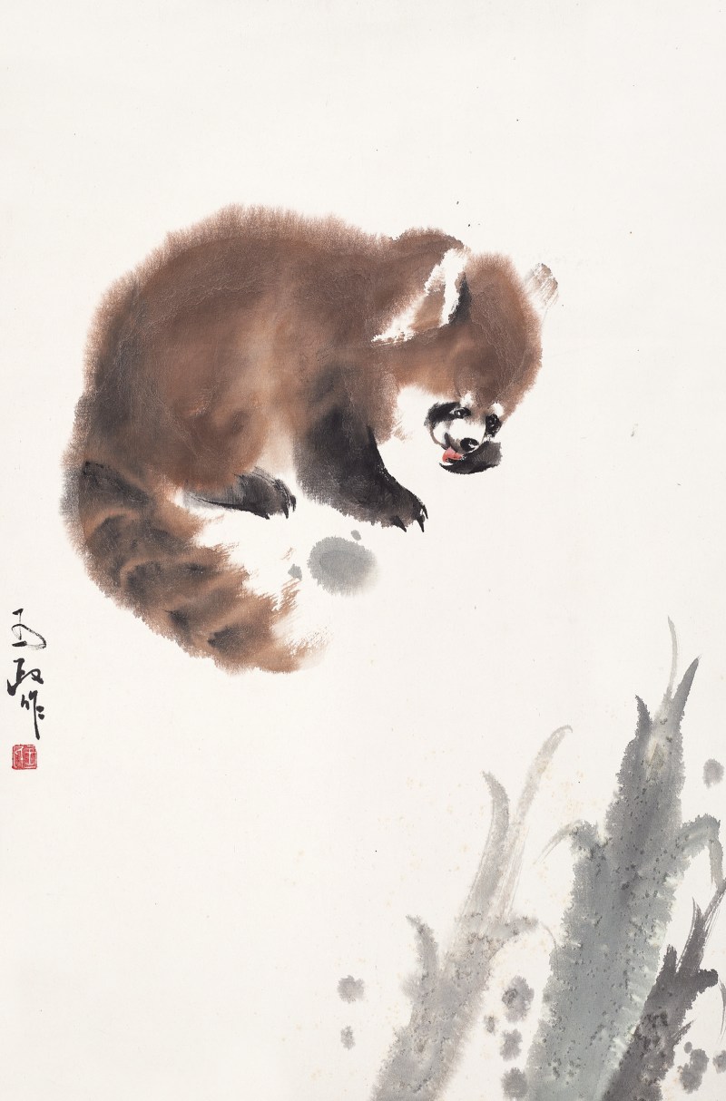 王为政 小熊猫