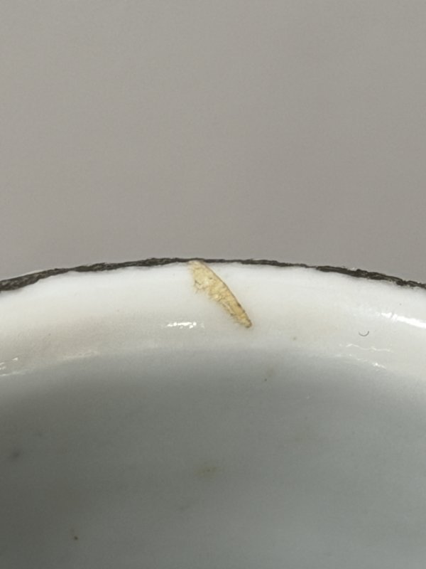 清光绪 青花缠枝花卉八吉祥纹梅瓶 - 图14