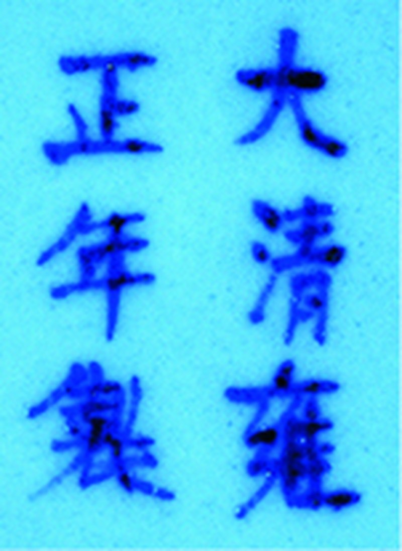 清 天蓝釉堆塑螭龙尊 - 图2