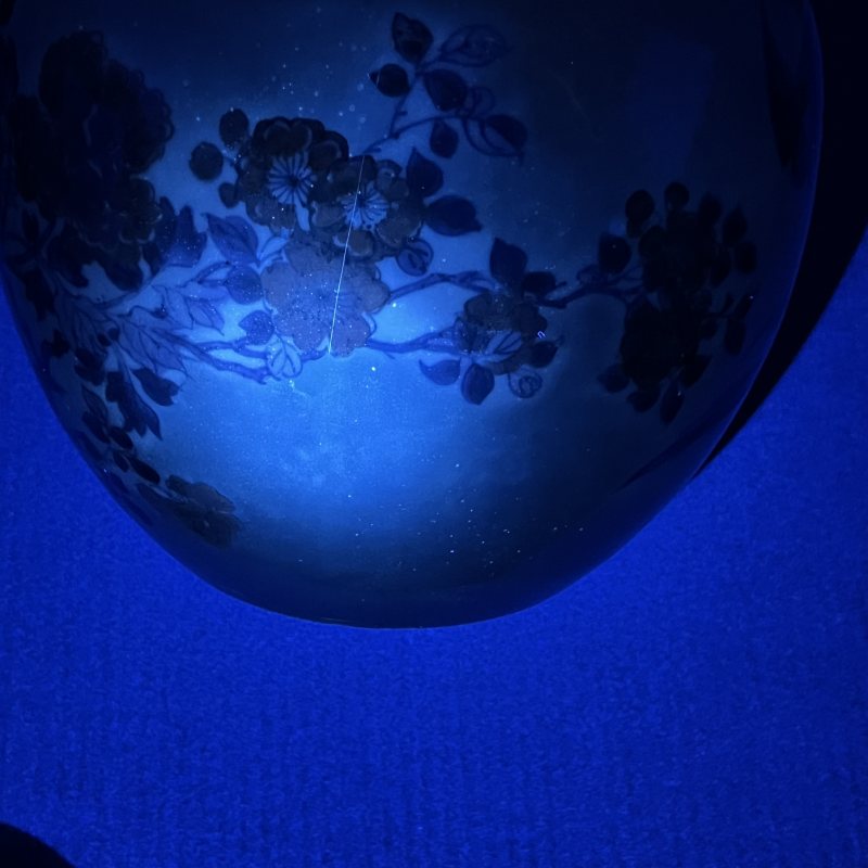 清康熙青花釉里红花鸟卷缸 - 图14