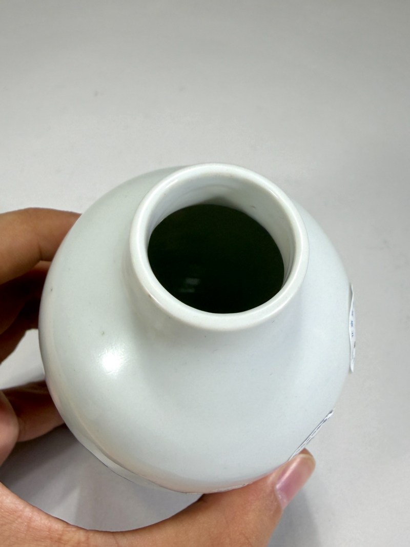 清雍正 粉彩花鸟纹莱菔尊 - 图10