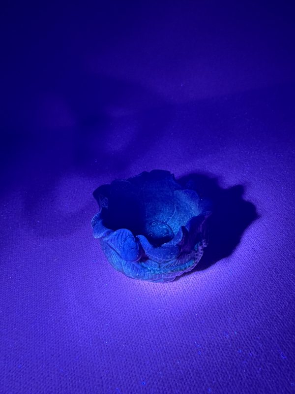 清中期 粉彩仿生荷花花形水盂 - 图11