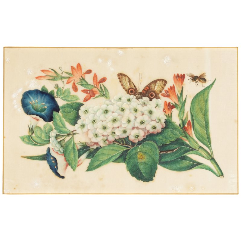 中國畫家 十九世紀 花卉蝴蝶圖一組十幅 水粉通草畫 | CHINESE ARTIST (19TH CENTURY) - 图5