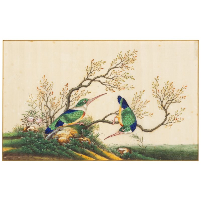 中國畫家 十九世紀 鳥圖一組八幅 水粉通草畫 | CHINESE ARTIST (19TH CENTURY) - 图7