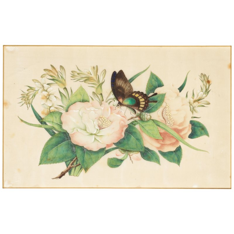 中國畫家 十九世紀 花卉蝴蝶圖一組十幅 水粉通草畫 | CHINESE ARTIST (19TH CENTURY) - 图7