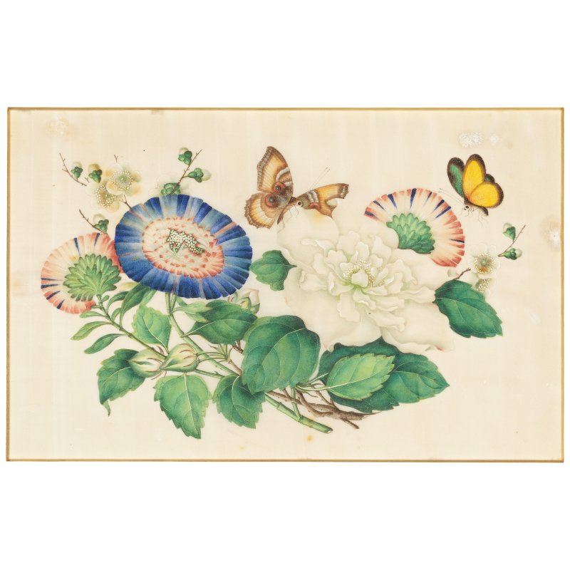 中國畫家 十九世紀 花卉蝴蝶圖一組十幅 水粉通草畫 | CHINESE ARTIST (19TH CENTURY) - 图8