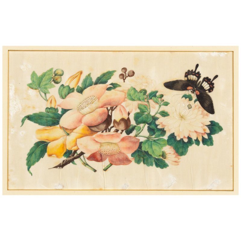 中國畫家 十九世紀 花卉蝴蝶圖一組十幅 水粉通草畫 | CHINESE ARTIST (19TH CENTURY) - 图10