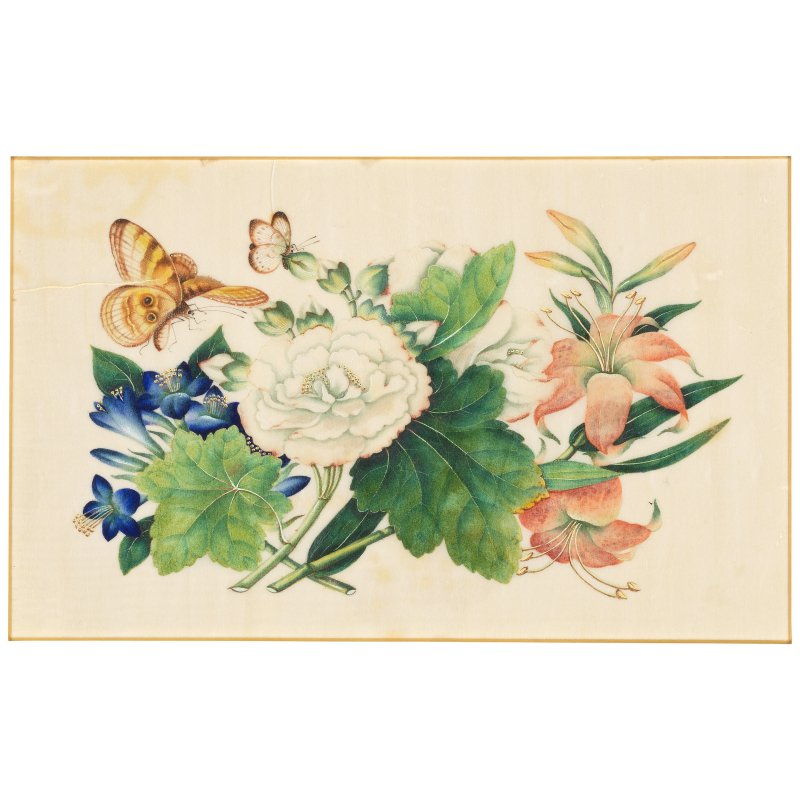中國畫家 十九世紀 花卉蝴蝶圖一組十幅 水粉通草畫 | CHINESE ARTIST (19TH CENTURY) - 图11