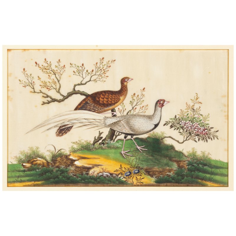 中國畫家 十九世紀 鳥圖一組八幅 水粉通草畫 | CHINESE ARTIST (19TH CENTURY) - 图2