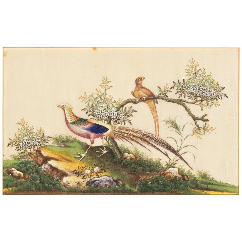 中國畫家 十九世紀 鳥圖一組八幅 水粉通草畫 | CHINESE ARTIST (19TH CENTURY) - 图3